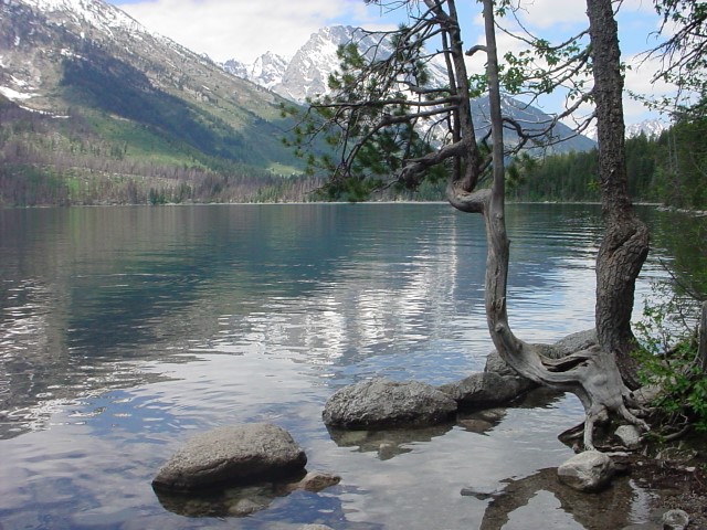 DSC00015.JPG